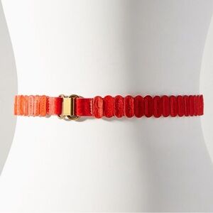 THE TABITHA STRETCH BELT NWT small